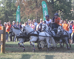 Bram Chardon tritt in die Fußtapfen seines Vaters Inbrand und wurde in Lipiza Weltmeister im Vierspännerfahrern der Junioren. Foto: Rinaldo de Craen